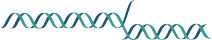 Small BioSoc Logo